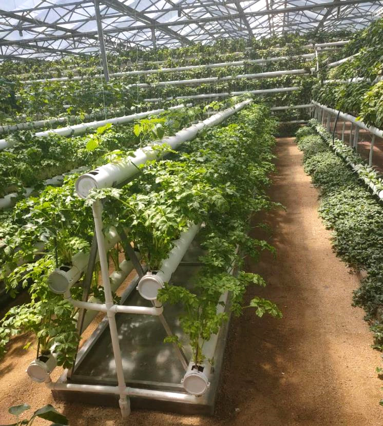 好色先生视频APP下载安装污案例